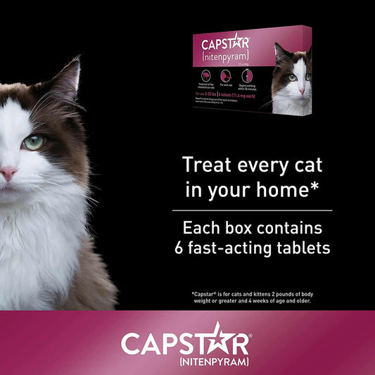 Capstar Nitenpyram for Cats and Kittens Flea Treatment