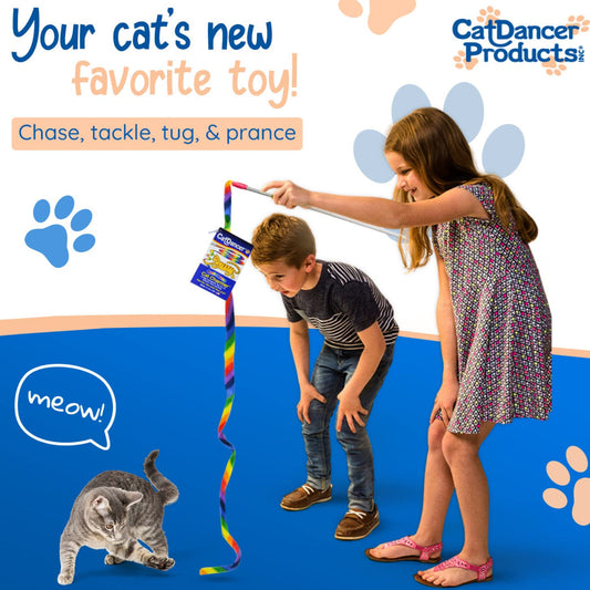 Cat Dancer Rainbow Charmer Toy For Cat