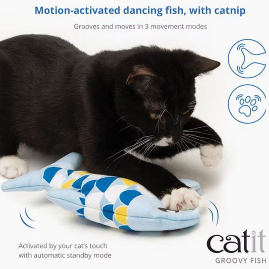 Catit Groovy Fish Motion-Activated Catnip Cat Toy Blue - Interactive Cat Toys 2