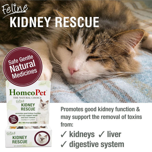 HomeoPet Feline Kidney Rescue 15-ml - Cat Health Care & Wellness 2