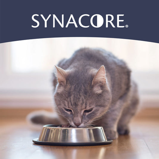 Synacore Cat - Natural Formula to Provide Immune Support for Cats & Help MaintainDigestive Health - Probiotics