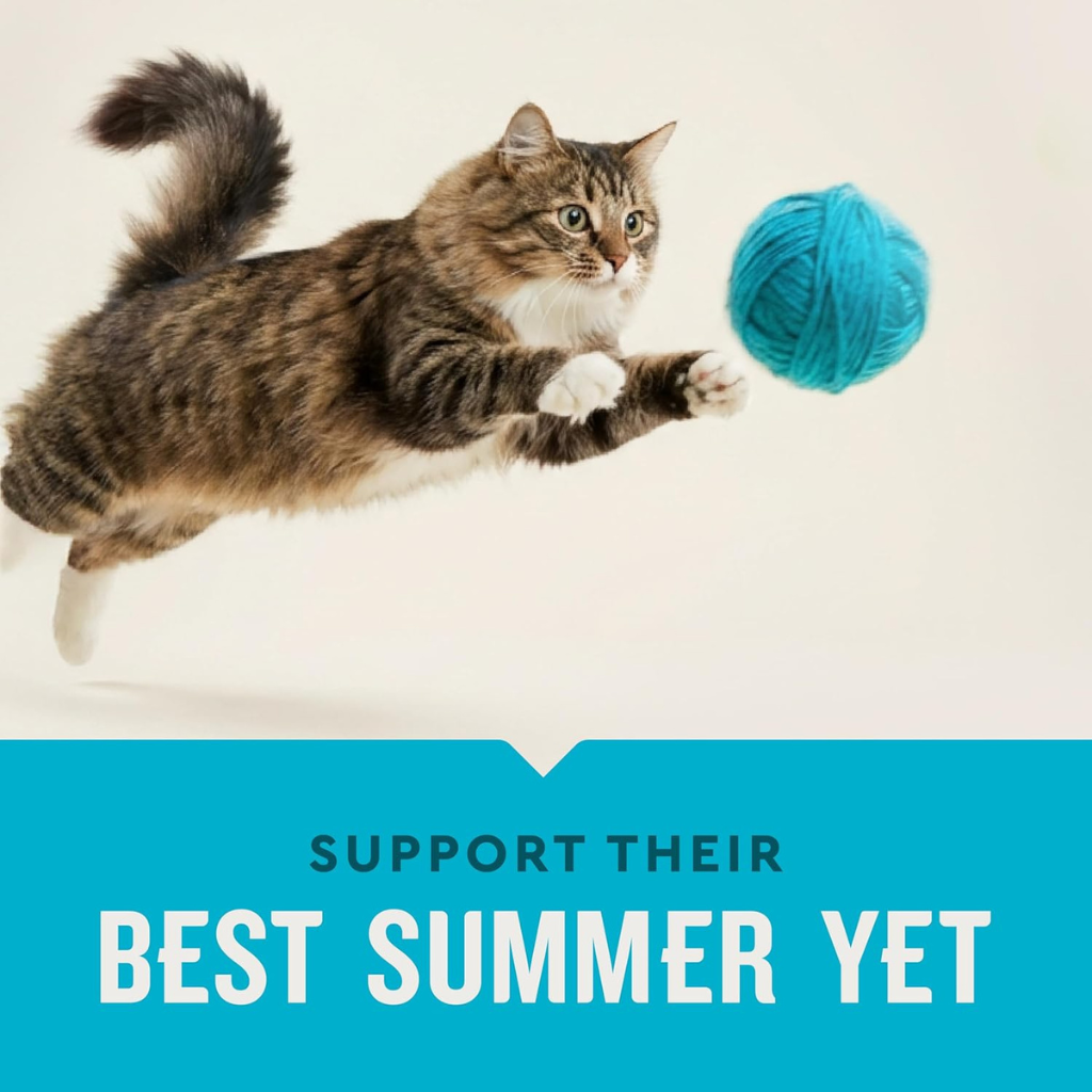 Vet IQ Hairball Relief Treats for Cats (30 Day Supply) - Cat Treats 10