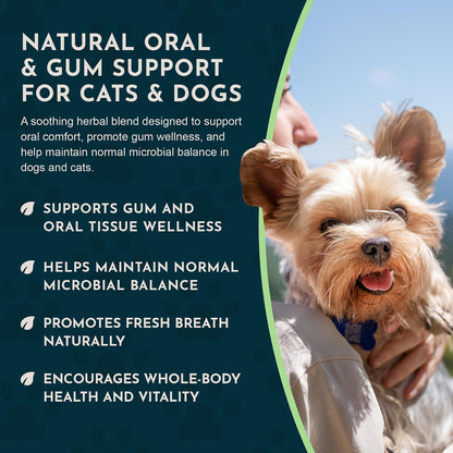 Animal Essentials Herbal Formula Healthy Gums for Dogs & Cats 1-oz - Dog Supplements & Vitamins 6