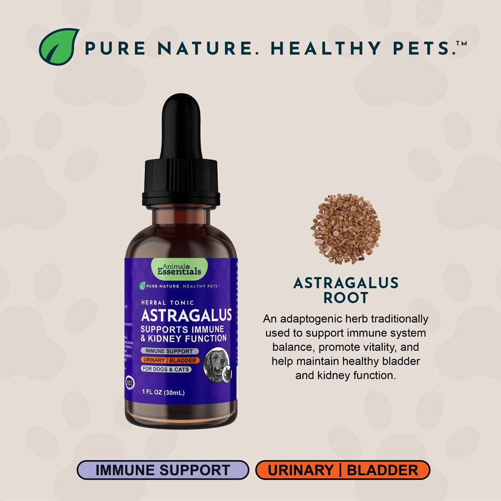 Animal Essentials Herbal Tonic Astragalus Supports Immune & Kidney Function for Dogs & Cats - Dog Supplements &