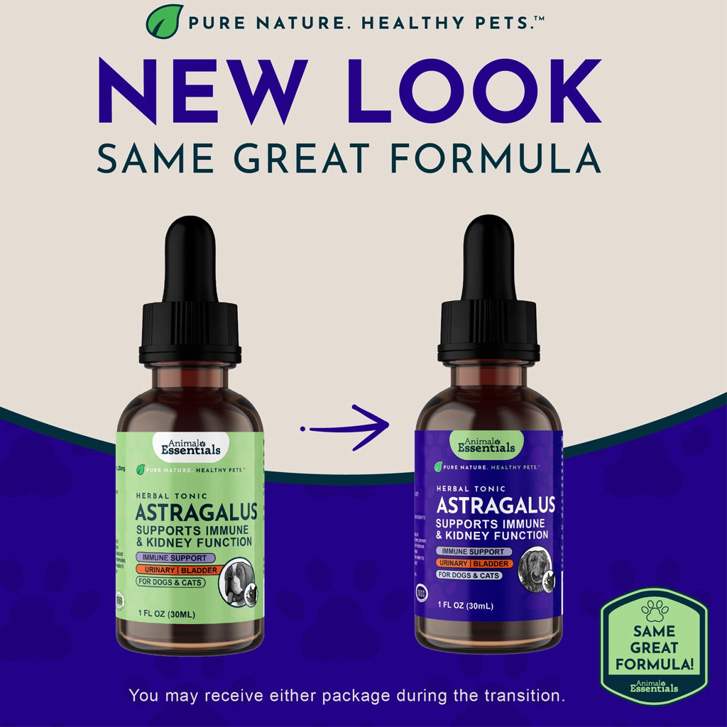 Animal Essentials Herbal Tonic Astragalus Supports Immune & Kidney Function for Dogs & Cats - Dog Supplements &
