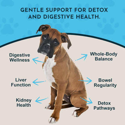 Animal Essentials Herbal Tonic Blend Body Cleanse Waste Elimination & Immune Support for Dogs & Cats - Dog Supplements
