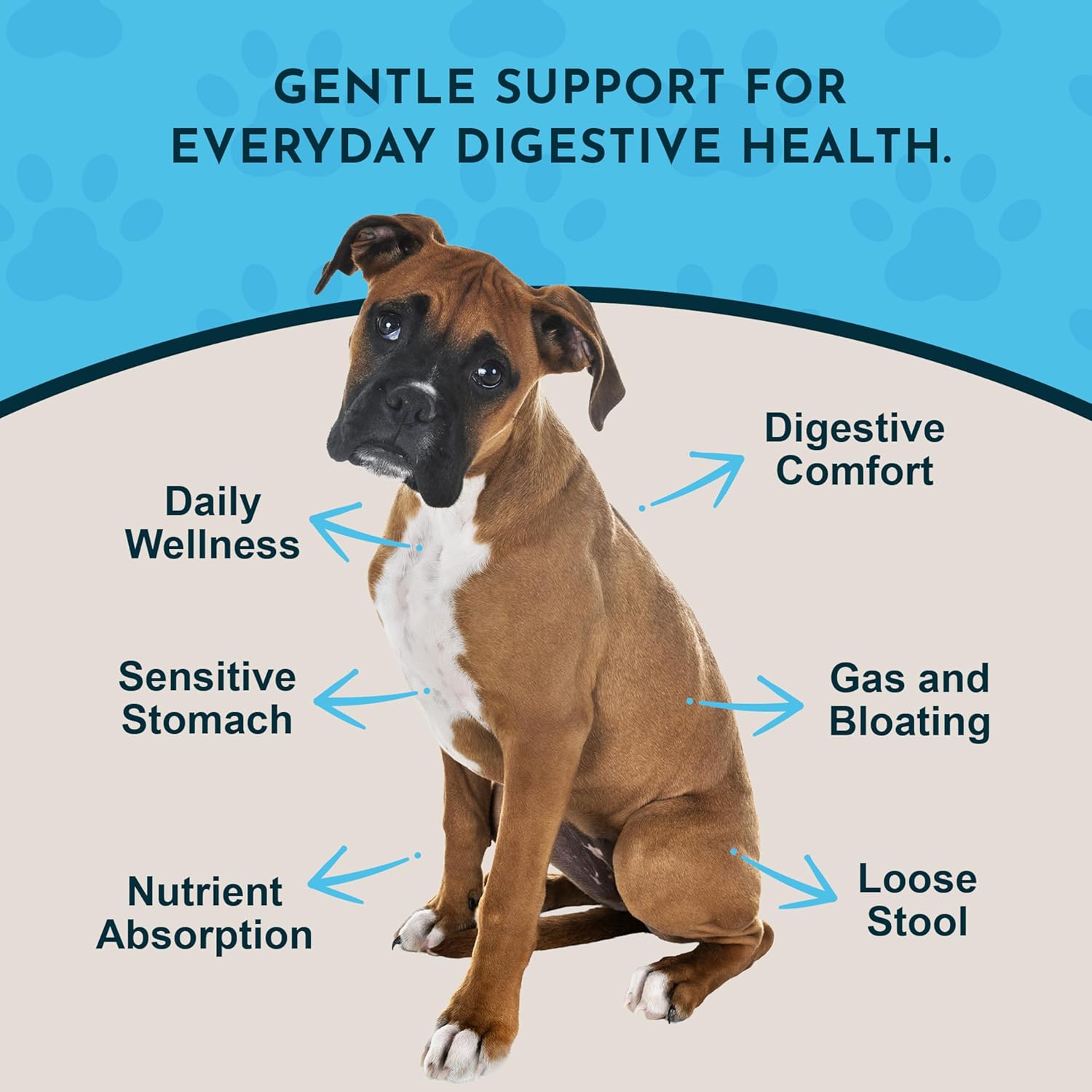 Animal Essentials Herbal Tonic Blend Daily Digestion Gastric Distress & Fresh Breath for Dogs & Cats - Dog Supplements