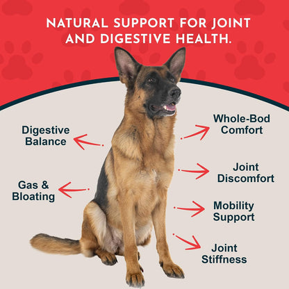 Animal Essentials Herbal Tonic Blend Joint Support Helps Stiffness & Soreness for Dogs & Cats - Dog Supplements &