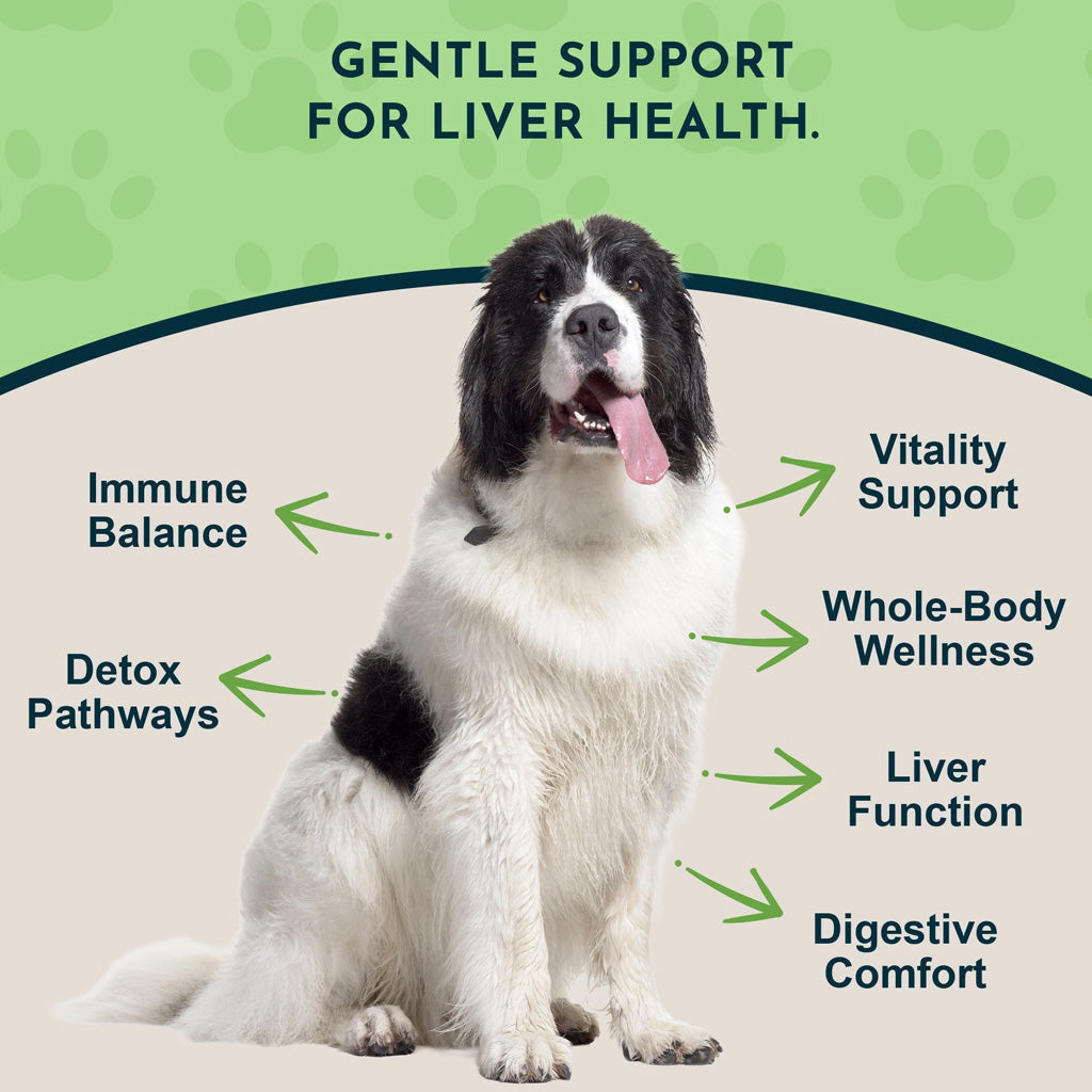 Animal Essentials Herbal Tonic Blend Liver Defense for Dogs & Cats - Dog Supplements & Vitamins 12