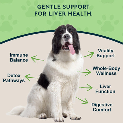 Animal Essentials Herbal Tonic Blend Liver Defense for Dogs & Cats - Dog Supplements & Vitamins 12