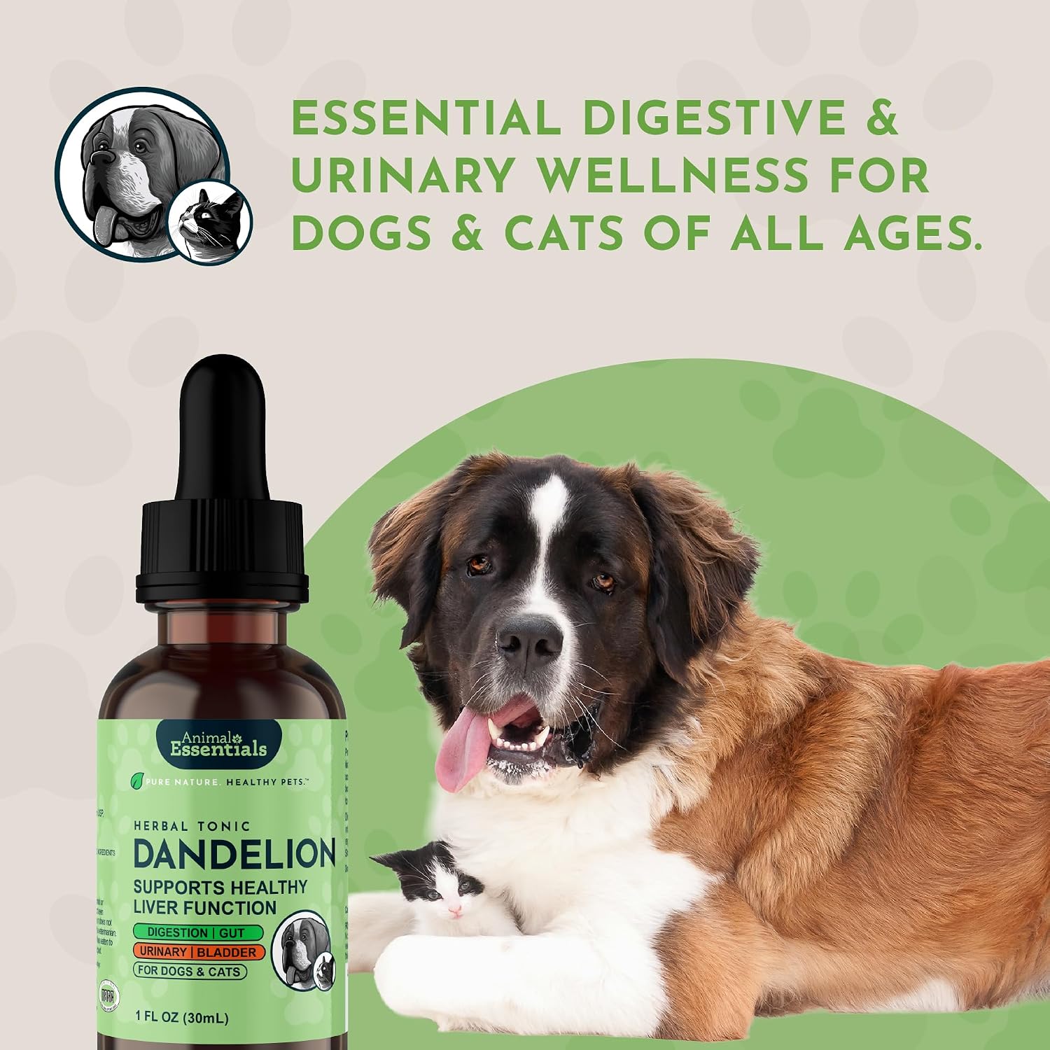 Animal Essentials Herbal Tonic Dandelion Supports Healthy Liver Function for Dogs & Cats - Dog Supplements & Vitamins 10