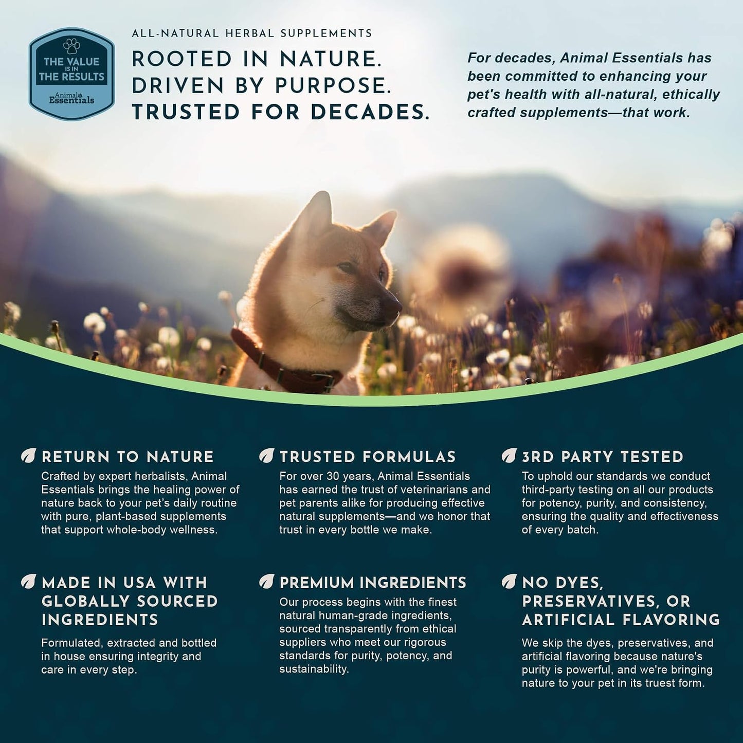 Animal Essentials Herbal Tonic Detox Blend Supports Normal Liver Detoxification for Dogs & Cats - Dog Supplements &
