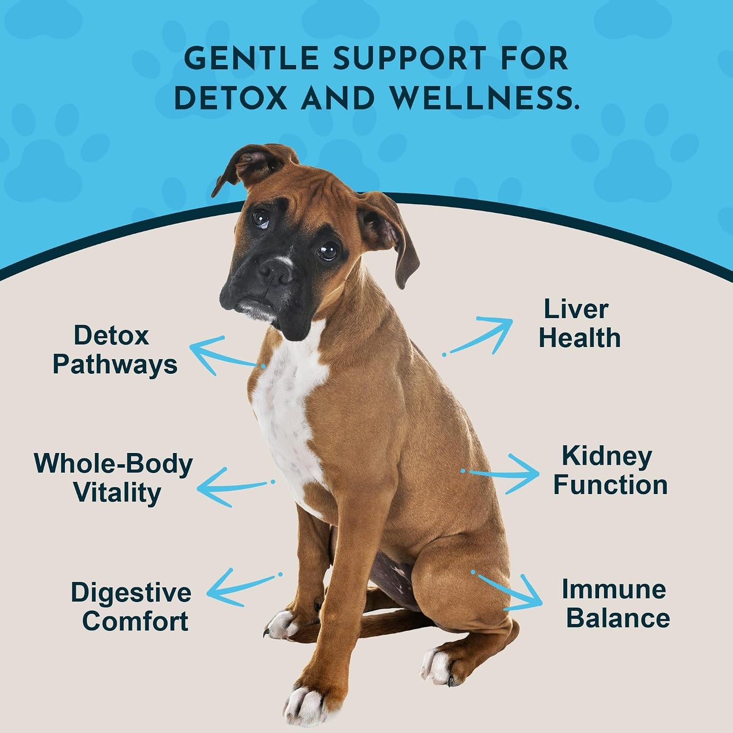 Animal Essentials Herbal Tonic Detox Blend Supports Normal Liver Detoxification for Dogs & Cats - Dog Supplements &