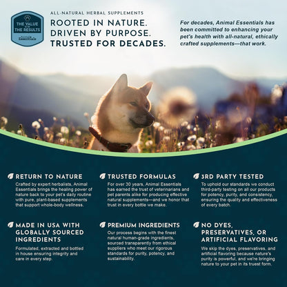 Animal Essentials Herbal Tonic Garlic Antioxidant Protection for Dogs & Cats - Dog Supplements & Vitamins 7