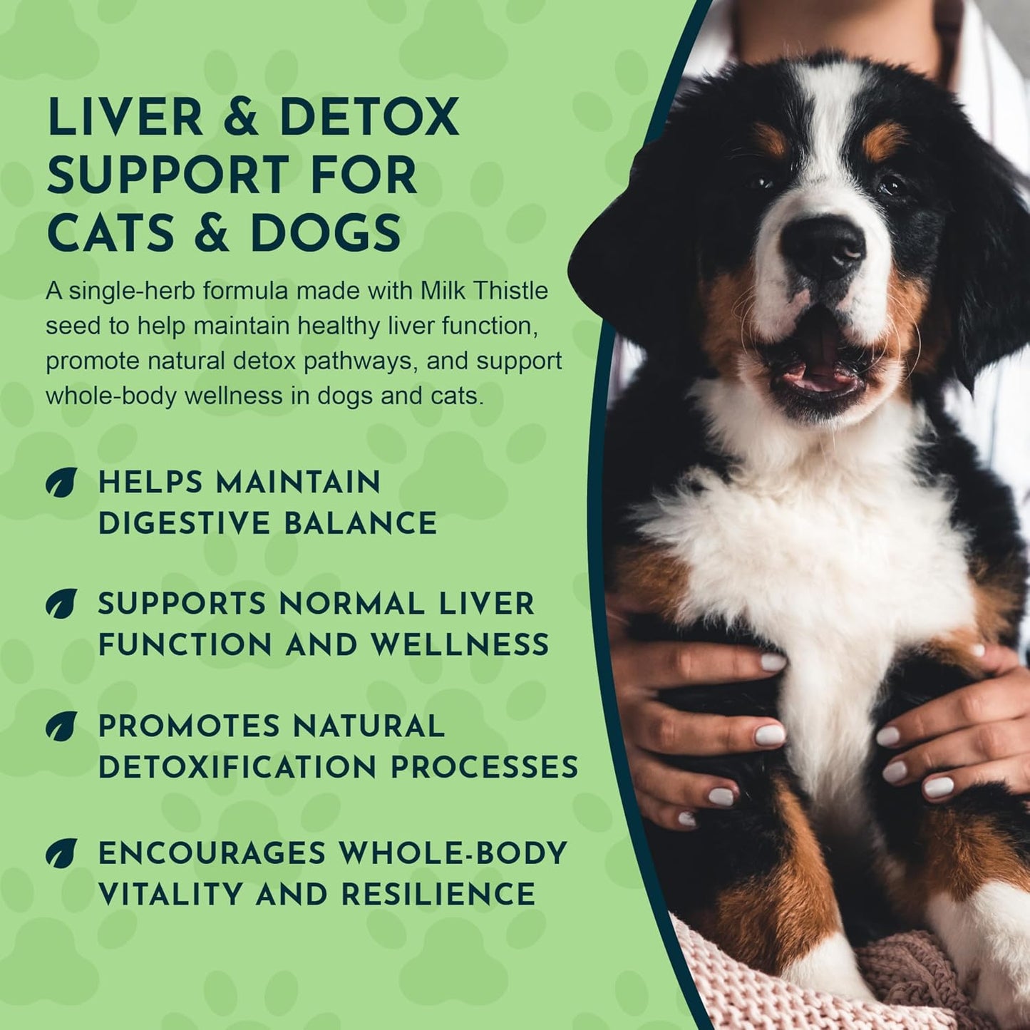 Animal Essentials Herbal Tonic Milk Thistle Supports Healthy Liver Function for Dogs & Cats - Dog Supplements &