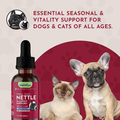 Animal Essentials Herbal Tonic Nettle Allergy Support for Dogs & Cats - Dog Supplements & Vitamins 4