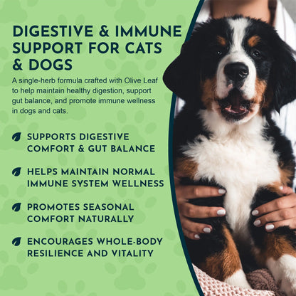 Animal Essentials Herbal Tonic Olive Leaf Promotes Resistance to Pathogens for Dogs & Cats - Dog Supplements & Vitamins