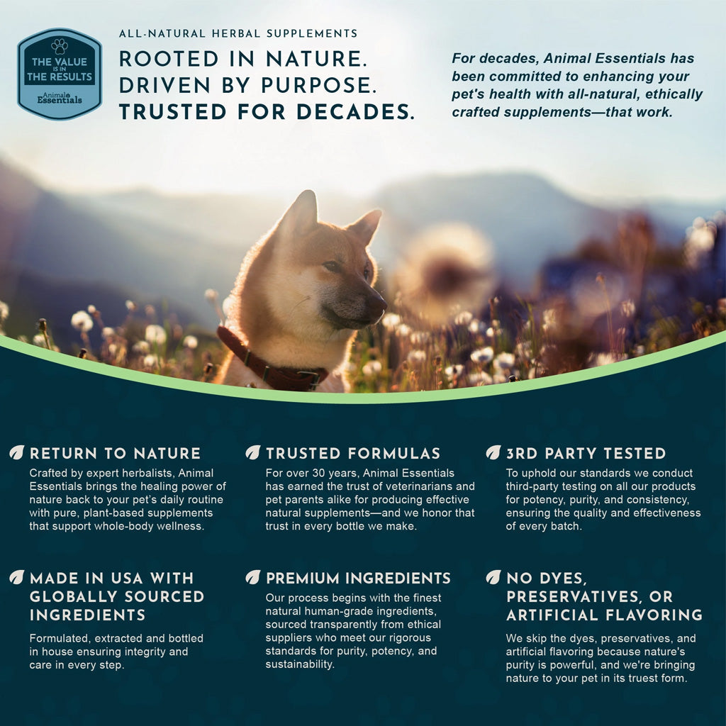 Animal Essentials Herbal Tonic Olive Leaf Promotes Resistance to Pathogens for Dogs & Cats - Dog Supplements & Vitamins