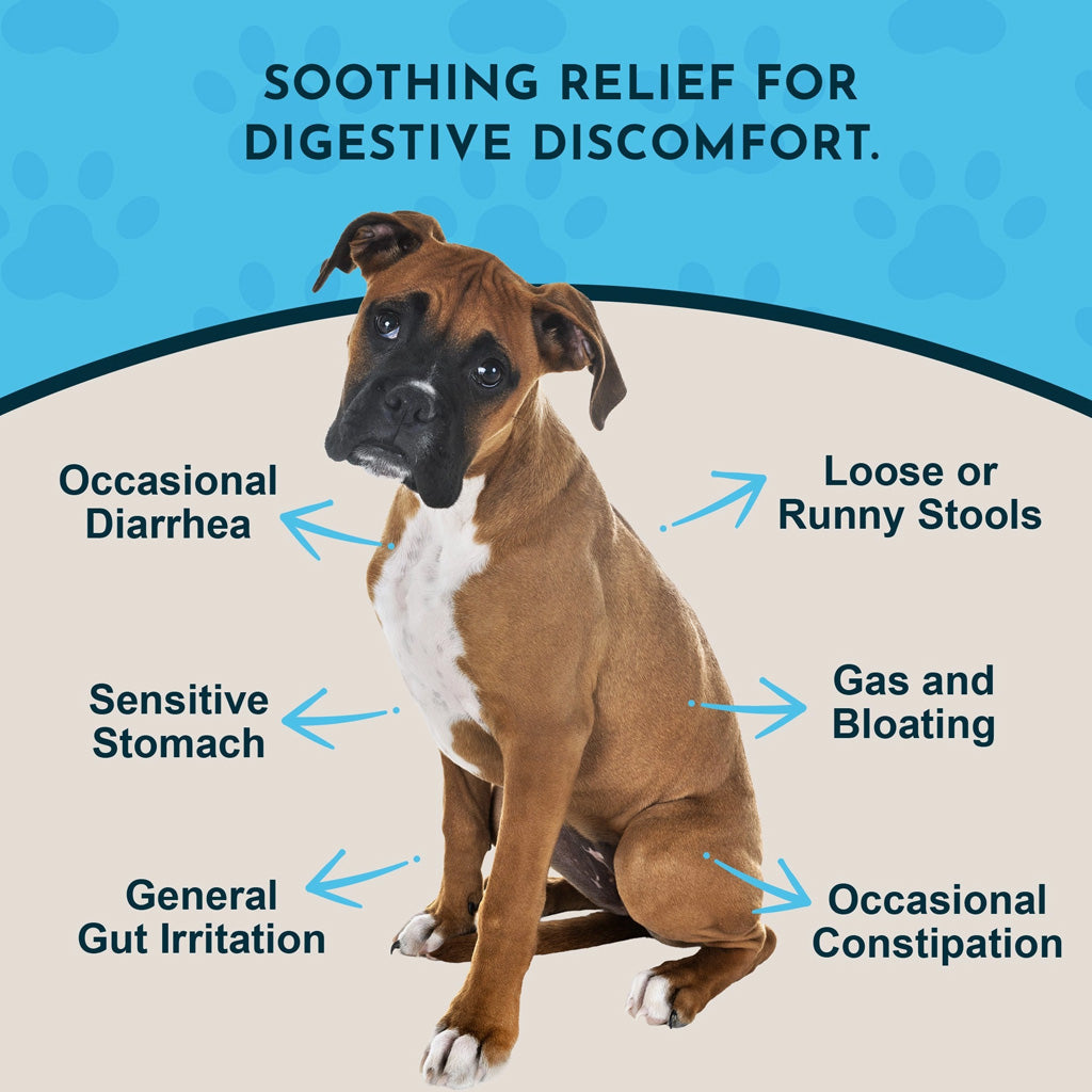 Animal Essentials Herbal Tonic Slippery Elm Supports Respiratory & Gut Health for Dogs & Cats - Dog Supplements &