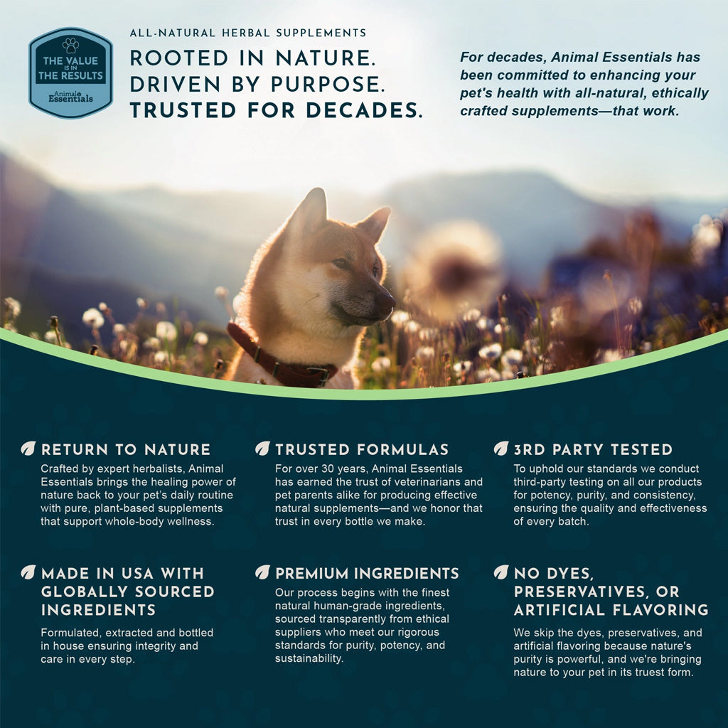 Animal Essentials Herbal Tonic Slippery Elm Supports Respiratory & Gut Health for Dogs & Cats - Dog Supplements &