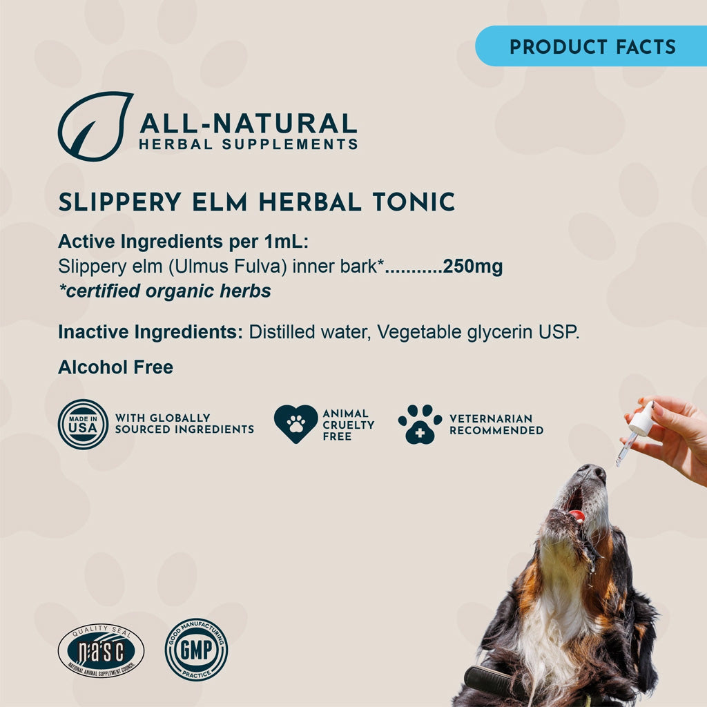 Animal Essentials Herbal Tonic Slippery Elm Supports Respiratory & Gut Health for Dogs & Cats - Dog Supplements &