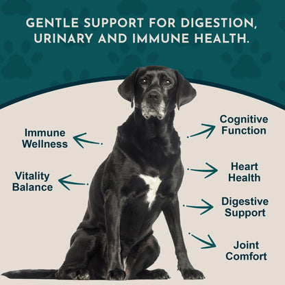 Animal Essentials Senior Support Herbal Tonic to Maintain Optimal Health for Dogs & Cats - Pet Vitamins & Supplements 11