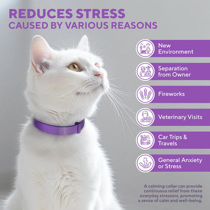 Beloved Pets Relaxiv Pheramone Improved DE-Stress Formula Calming Collar for Cats