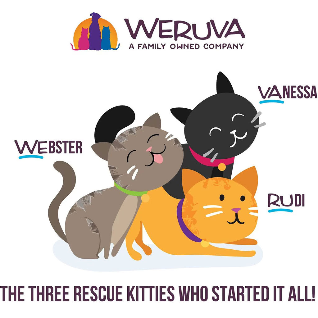 Three cartoon cats with names Webster, Vanessa, and Rudi, and Weruva logo above.