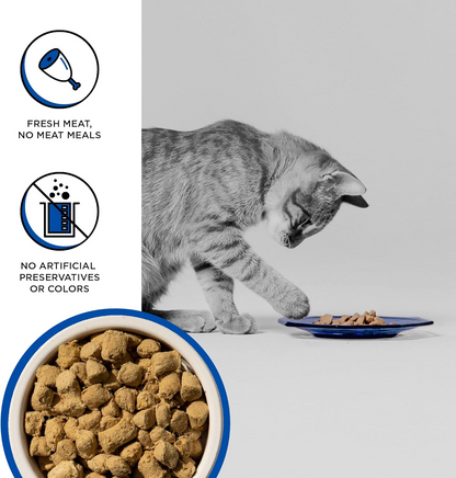 Bixbi Rawbble Freeze Dried Cat Food Turkey Recipe - Cat Food 6