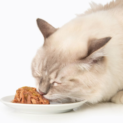 Catit Dinner Variety Pack Grain-Free Fish Wet Cat Food Topper (2.6 oz Can Case of 12) - Cat Food 6