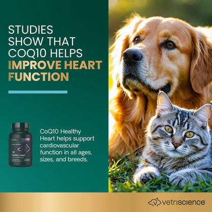 CoQ10 Healthy Heart Capsules for Dogs and Cats