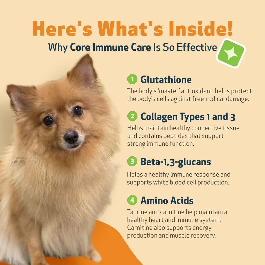 CORE IMMUNE CARE Daily Antioxidant and Nutritional Supplement for Dogs and Cats (3.7 oz) - Dog & Cat Supplements &