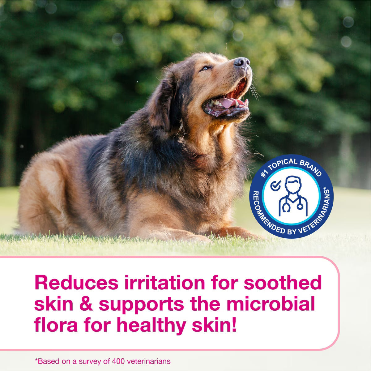 Douxo S3 CALM Soothing Itchy Hydrated Skin Dog & Cat Shampoo - Dog & Cat Shampoo 9