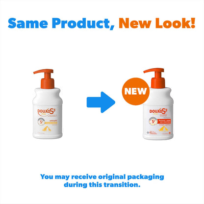 Douxo S3 PYO Antiseptic Antifungal Chlorhexidine Dog & Cat Shampoo - Dog Grooming 3