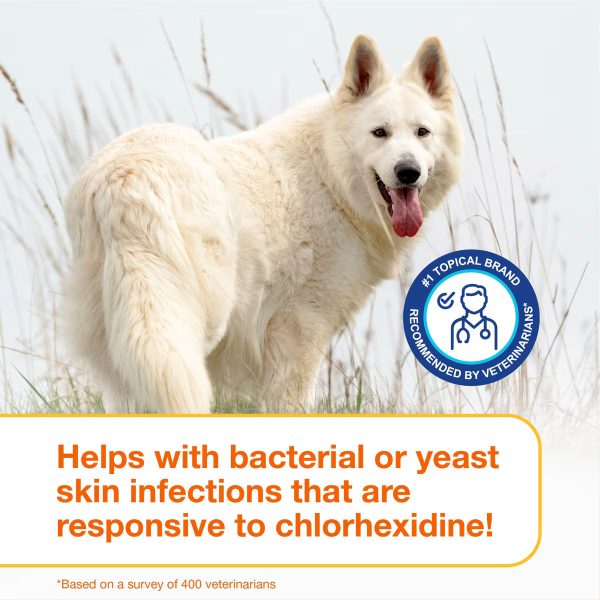 Douxo S3 PYO Antiseptic Antifungal Chlorhexidine Dog & Cat Shampoo - Dog Grooming 9