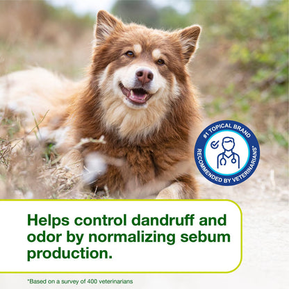 Douxo S3 SEB Odor-Control Seboregulating Dog & Cat Mousse (5.1 oz) - All Dog Grooming 8