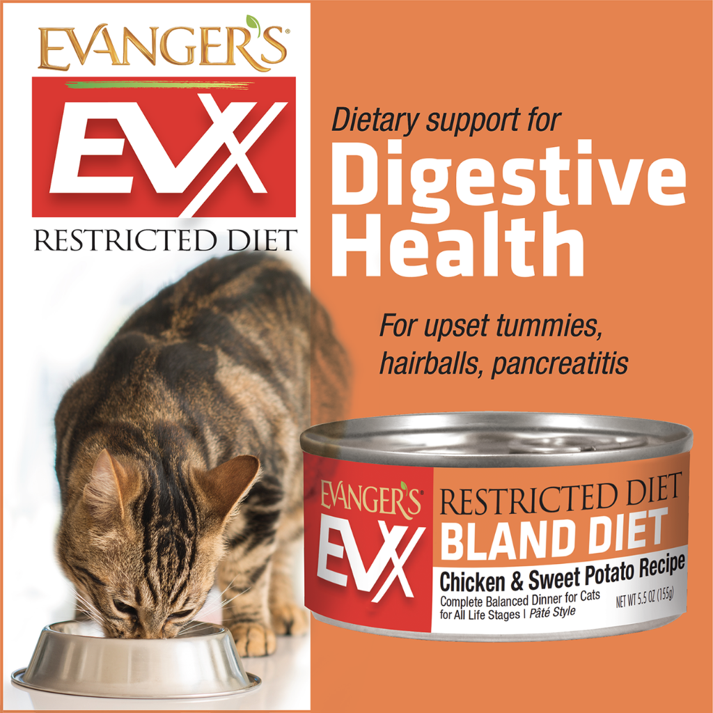 Evanger’s EVX Restricted Diet Bland Diet Chicken & Sweet Potato Recipe Wet Cat Food (5.5 oz x 24 cans) - Cat Food 2