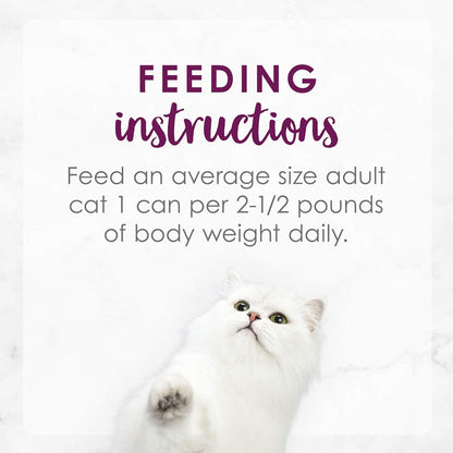 Fancy Feast Medleys Florentine Wet Cat Food Variety Pack