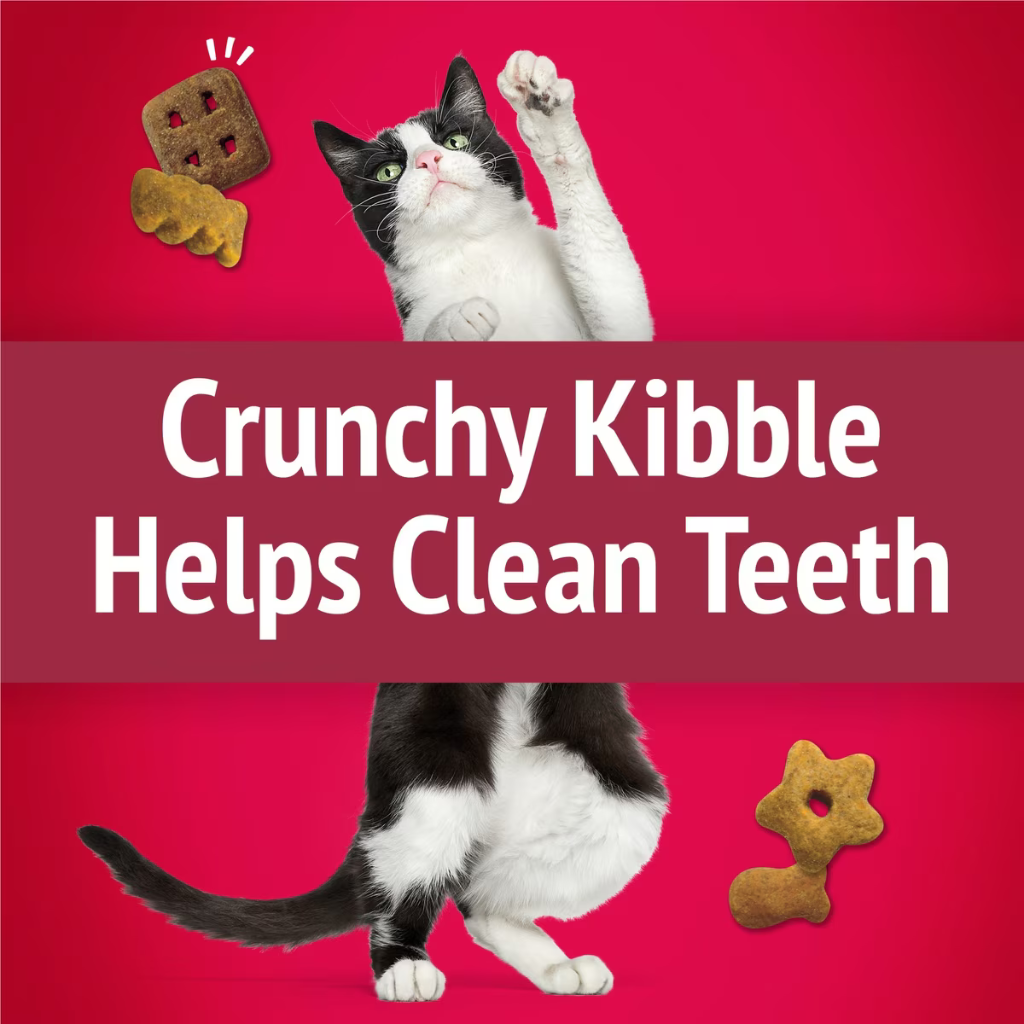 Friskies Party Mix Mixed Grill Crunch Cat Treats - Cat Treats 3