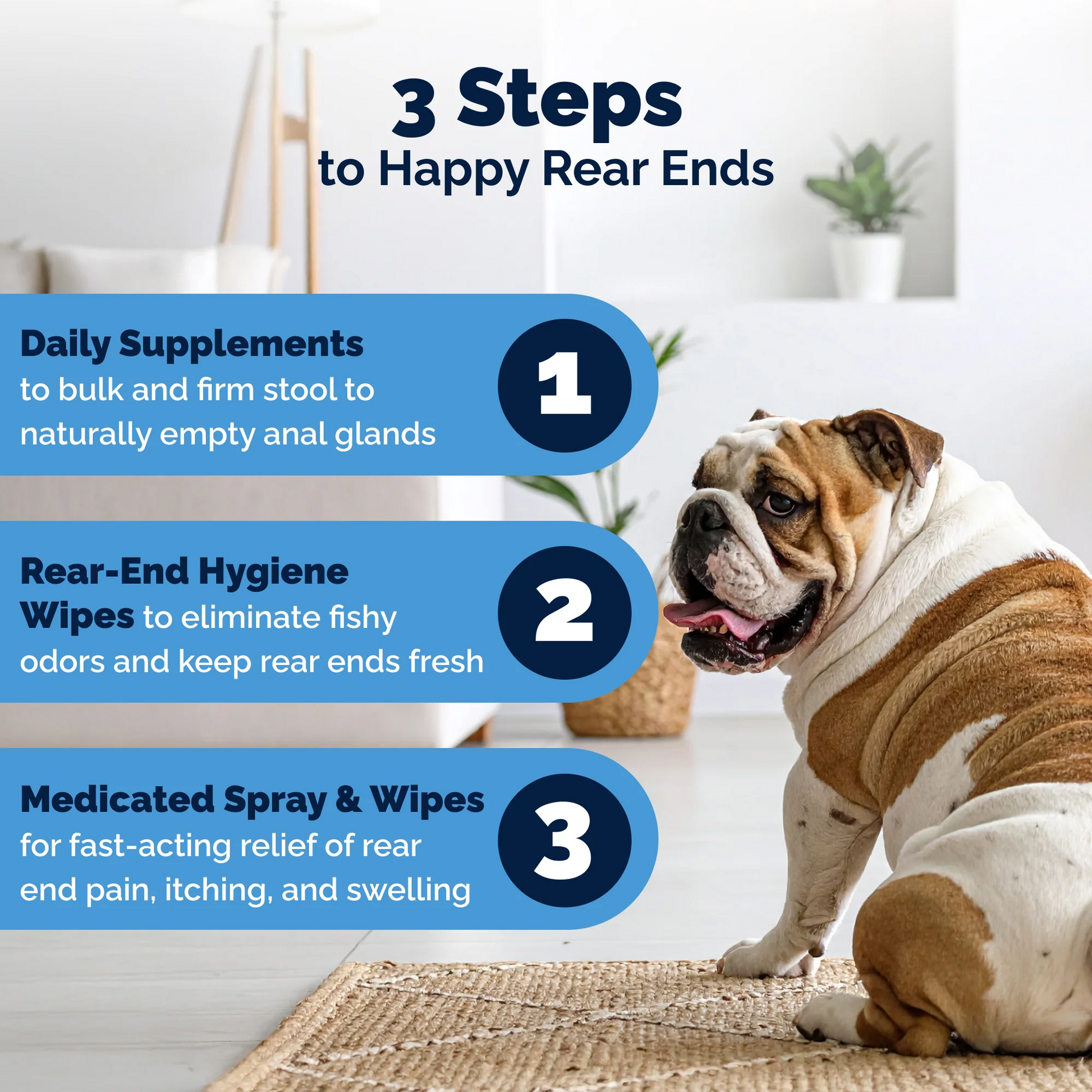 Glandex Advanced Vet Strength Anal Gland Medicated Itch Relief Spray for Dogs & Cats (4 oz) - All Dog & Cat Grooming 6