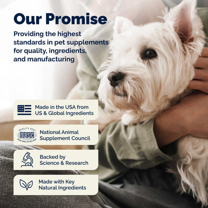 Glandex Anal Gland Support Bacon Flavored Soft Chews for Dogs - Dog Supplements & Vitamins 11