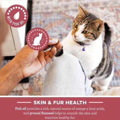 Greenies Feline SmartBites Skin & Fur Salmon Flavor