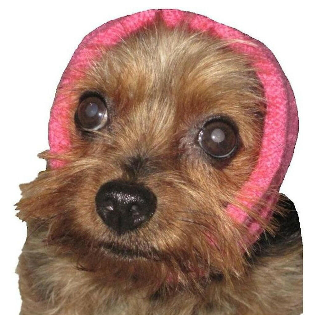 Happy Hoodie Calming Band For Dogs & Cats - Pink / Small - Dog & Cat Accessories 14