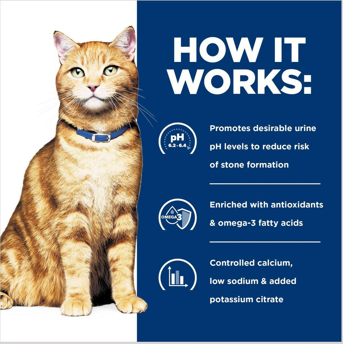 Hill’s Prescription Diet c/d Multicare Urinary Care Chicken & Vegetable Stew Canned Cat Food (2.9 oz x 24 cans)