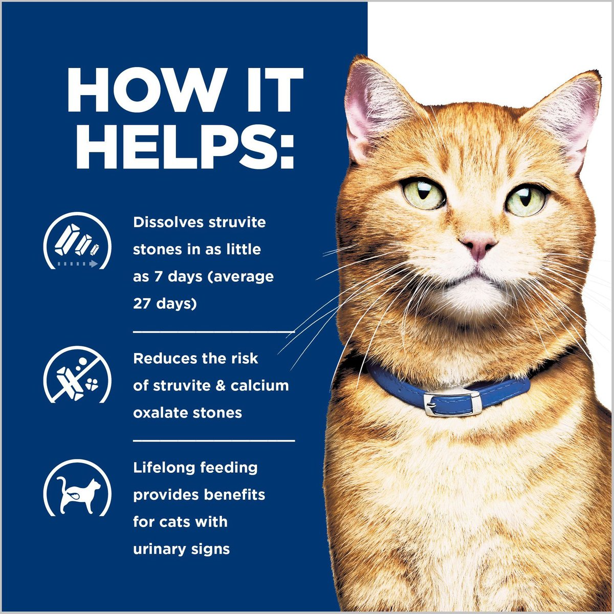 Urinary multicare hills reduces the risk of struvite and calcium oxalate stones