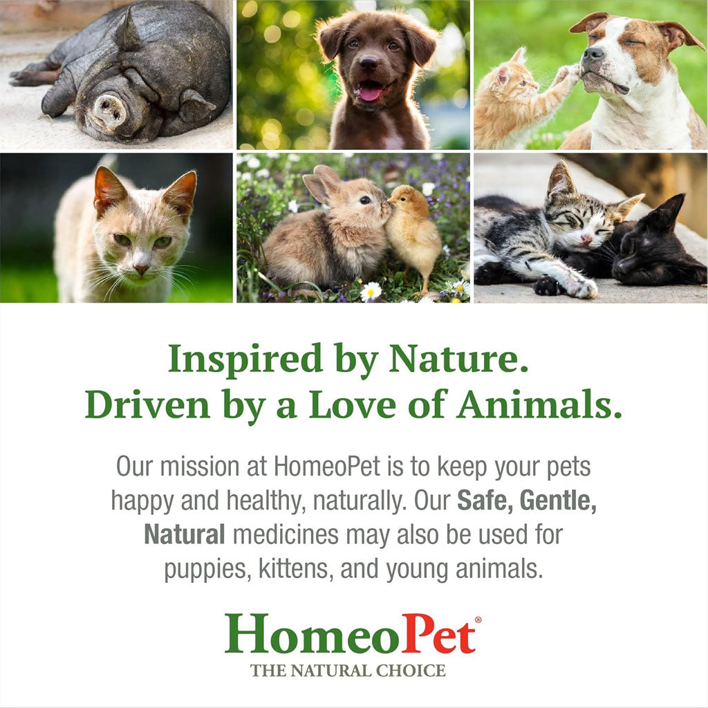 HomeoPet Coat Rescue Only Smelly Coats for Small Animals