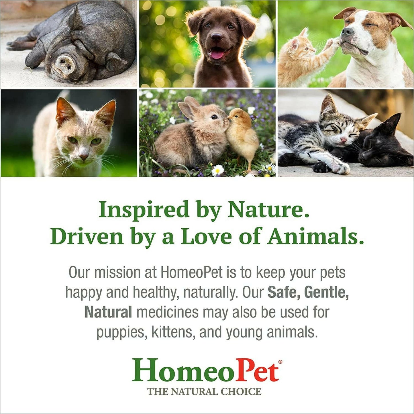 HomeoPet Joint Stress (15 ml) - Dog Supplements & Vitamins 7