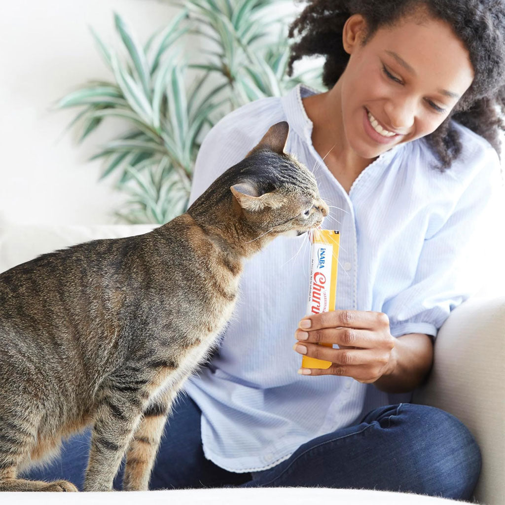 Inaba Churu Seafood Variety Pack Grain-Free Lickable Treat for Cats