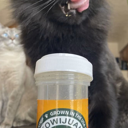 Meowijuana Kalico Kush Catnip & Valerian Root Blend Catnip (0.917 oz)