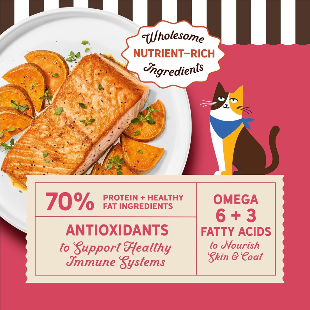 Merrick Purrfect Bistro Grain Free Salmon & Sweet Potato Recipe Dry Cat Food - Cat Food 4